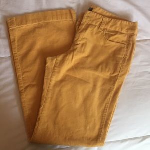 J Crew corduroy pants.